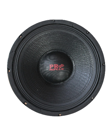 P.A. Subwoofer 12inch WF-123