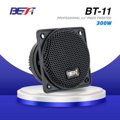 BT-11-B BT-11-B