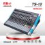 TS-12-A