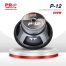 P-12-A