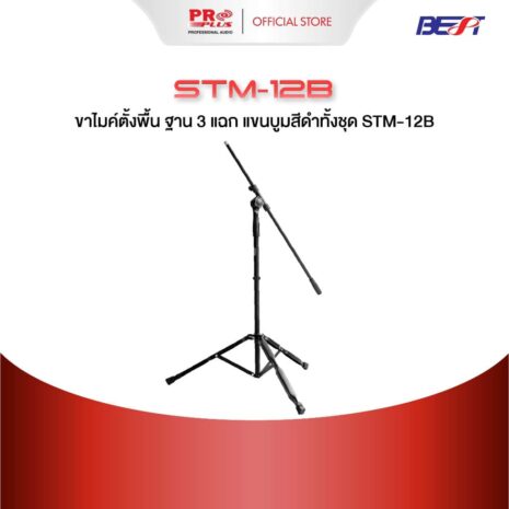 STM-12 STM-12